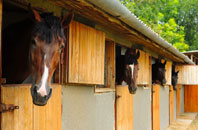 free Allerby stable construction quotes